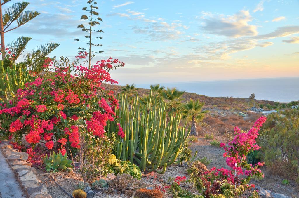 Finca La Tosca Guía de Isora Kültér fotó